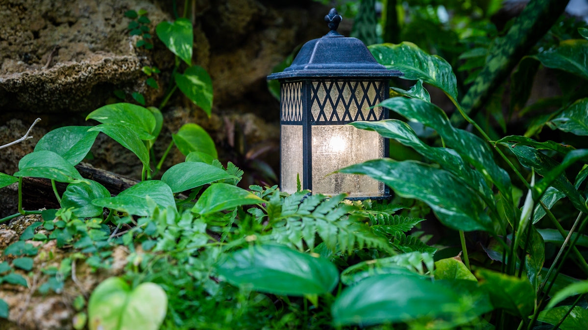 a lamp in the middle of some plants