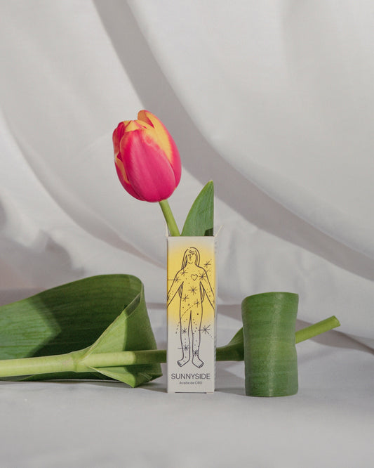 a pink tulip sitting next to a green plant