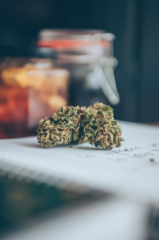 A pair of marijuana buds sitting on top of a table