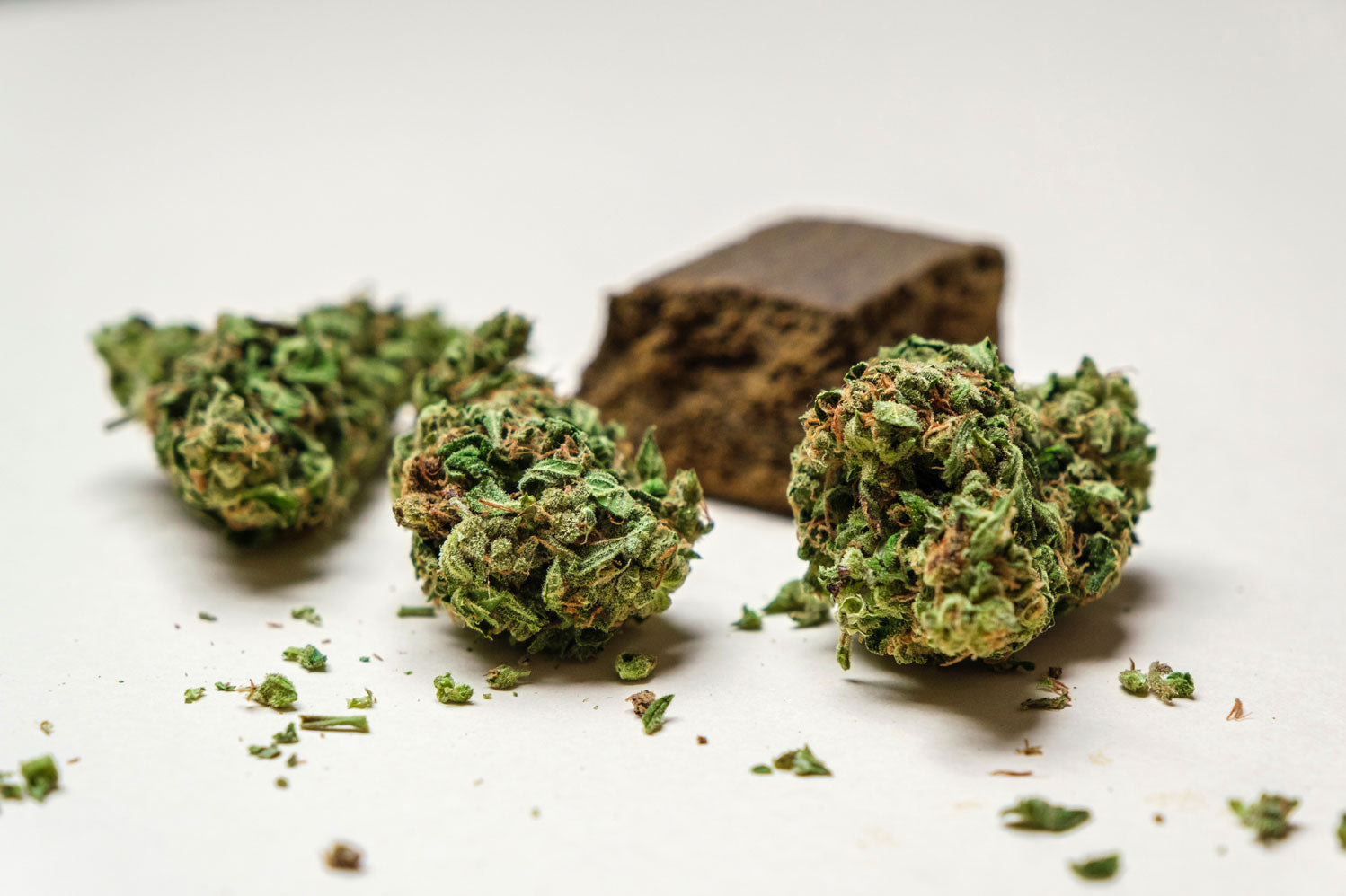 CBD Hasch