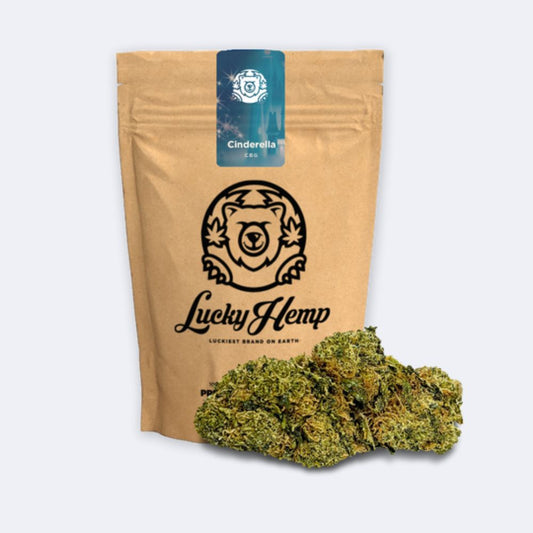 Cinderella CBG Ökopack