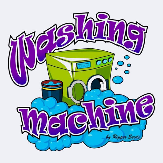 Washing Machine Feminisiert