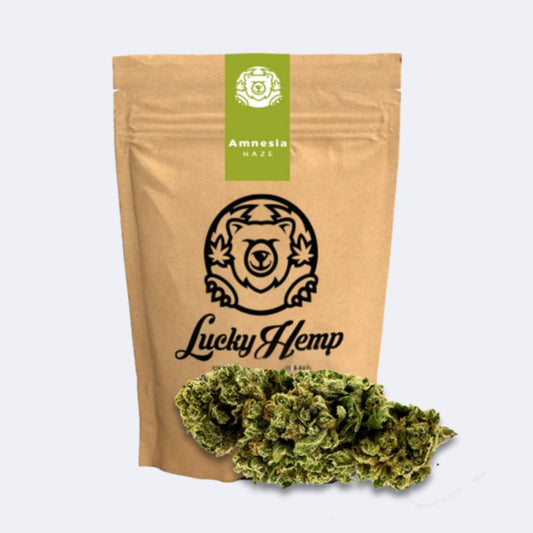 Amnesia Haze Ökopack