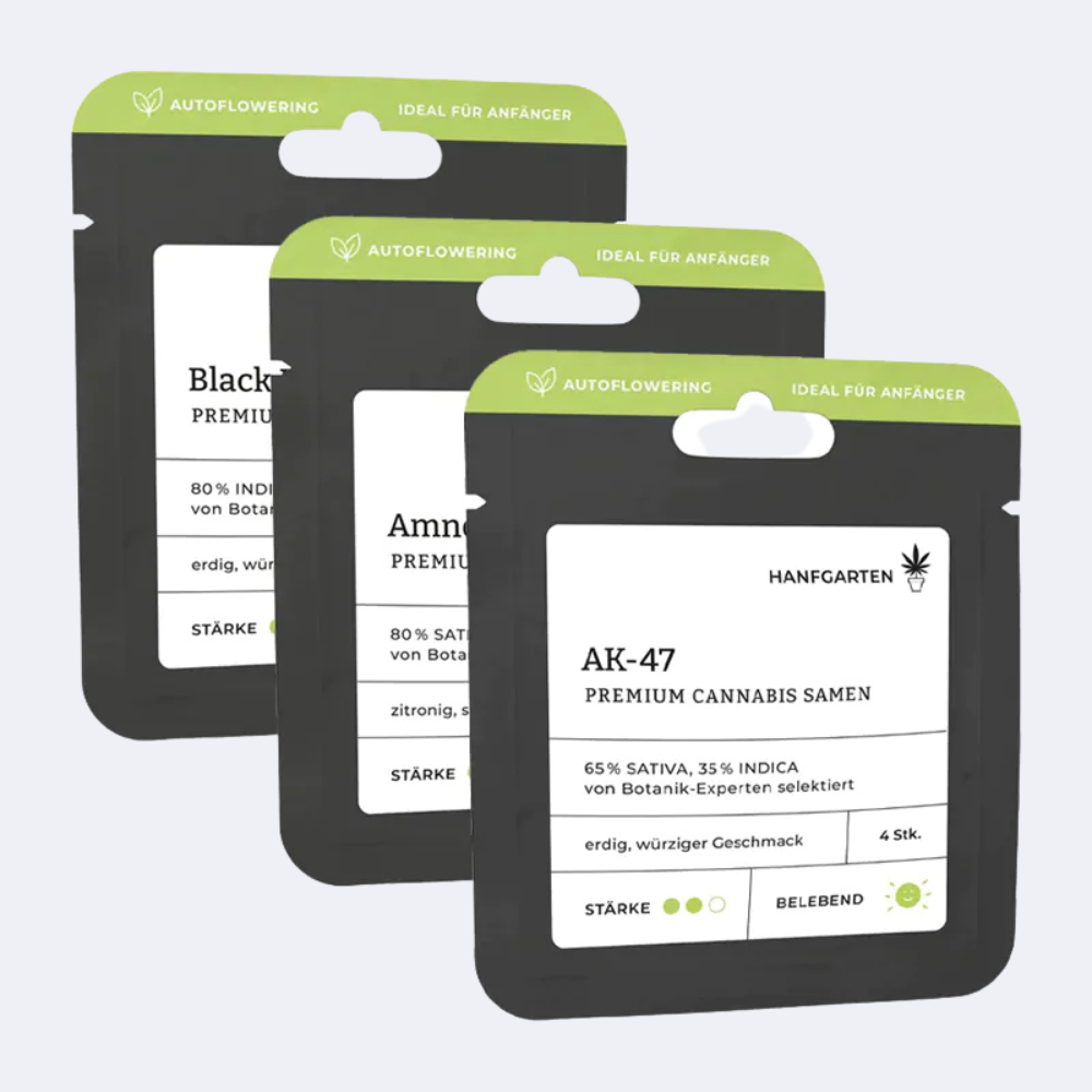 Bestseller Samen 3er-Set | Autoflowering