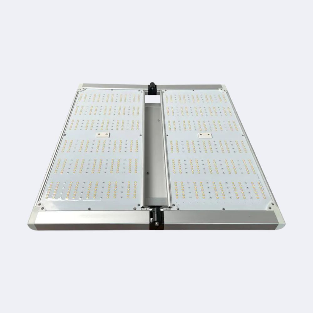 LED Force 320 W