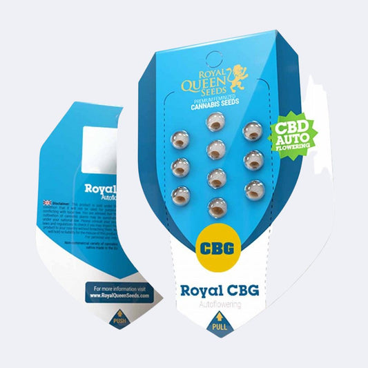 Royal CBG Automatic