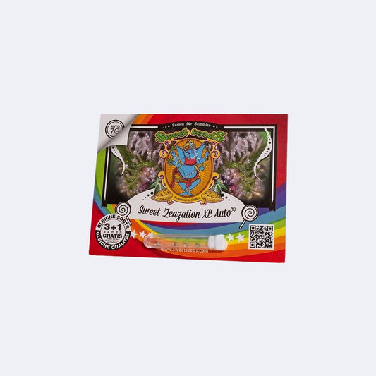 Sweet Zenzation XL Auto