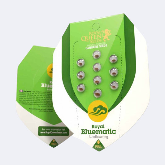 Royal Bluematic Automatic