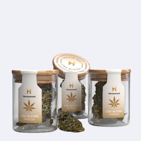 3x Hempamed Amnesia Blüten (2 g)