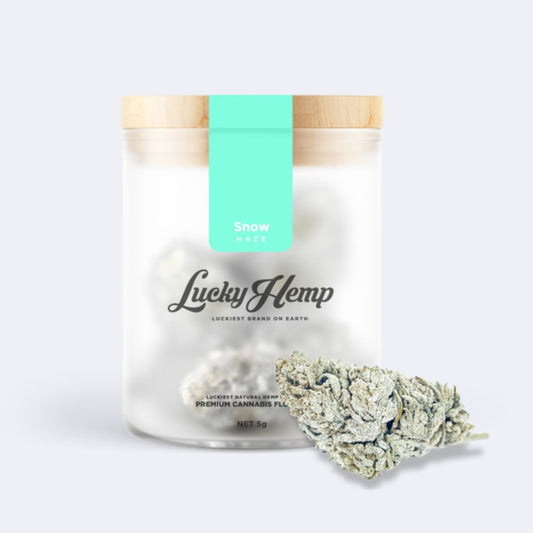 Snow Haze® 50% CBD Glas