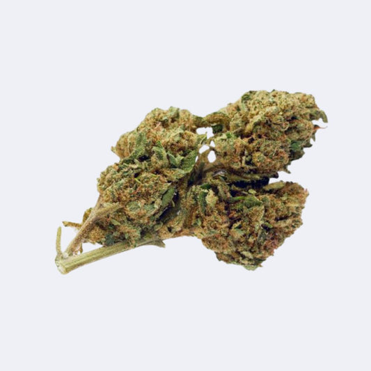 Penelope, CBD-Blüten