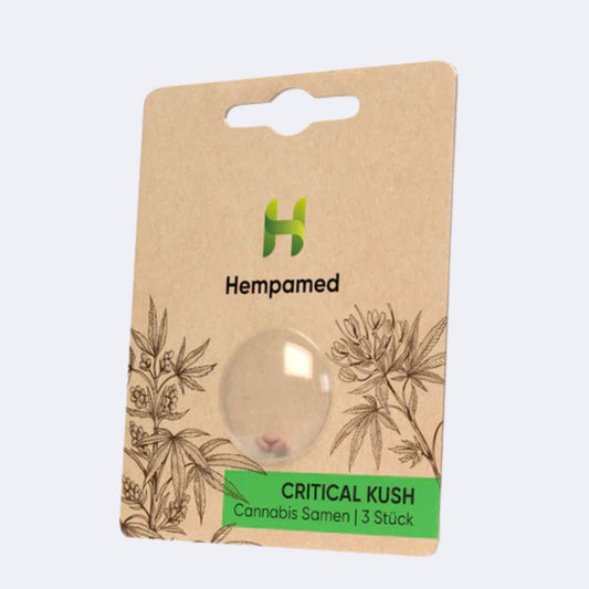 Critical Kush Samen