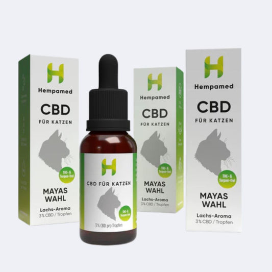 3x Premium CBD Öl für Katzen 3 % (Lachs-Aroma)