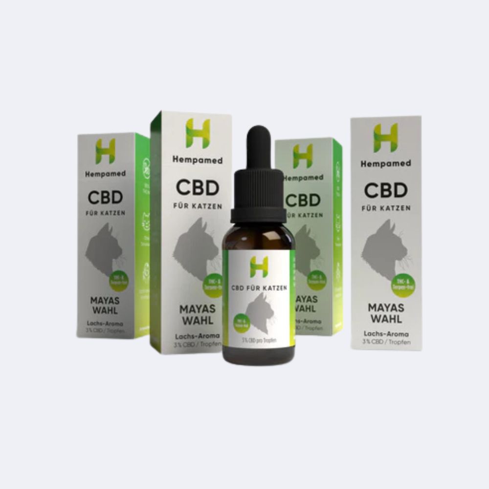 4x Premium CBD Öl für Katzen 3 % (Lachs-Aroma)