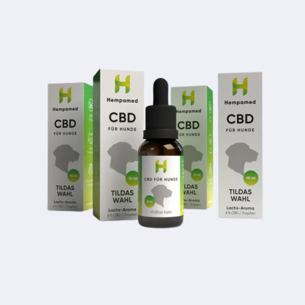 4x Premium CBD Öl für Hunde 6 % (Lachs-Aroma)