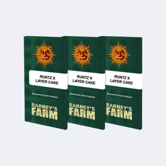 Runtz x Layer Cake