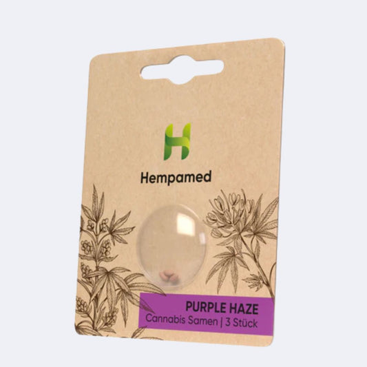 Purple Haze Samen