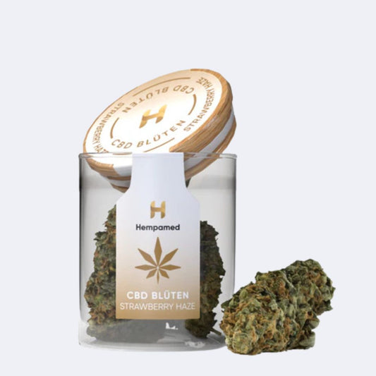 Strawberry Haze CBD Blüten (2 g)