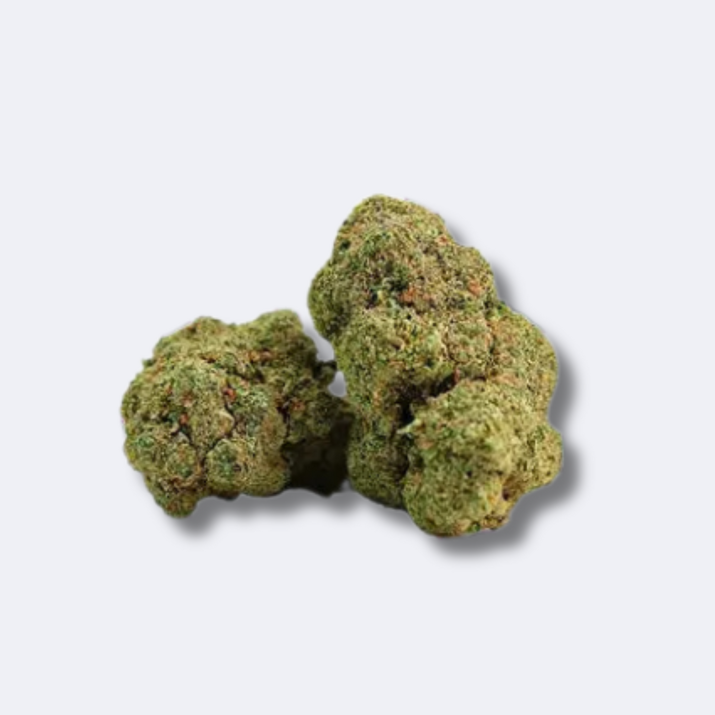 Mango Kush | 25% CBD
