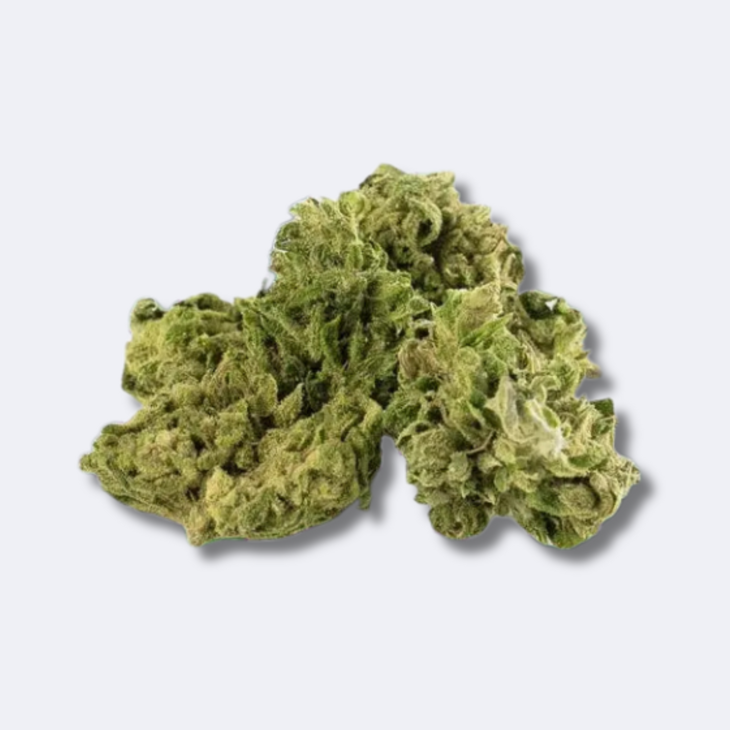 Northern Lights Strong | 15% CBD