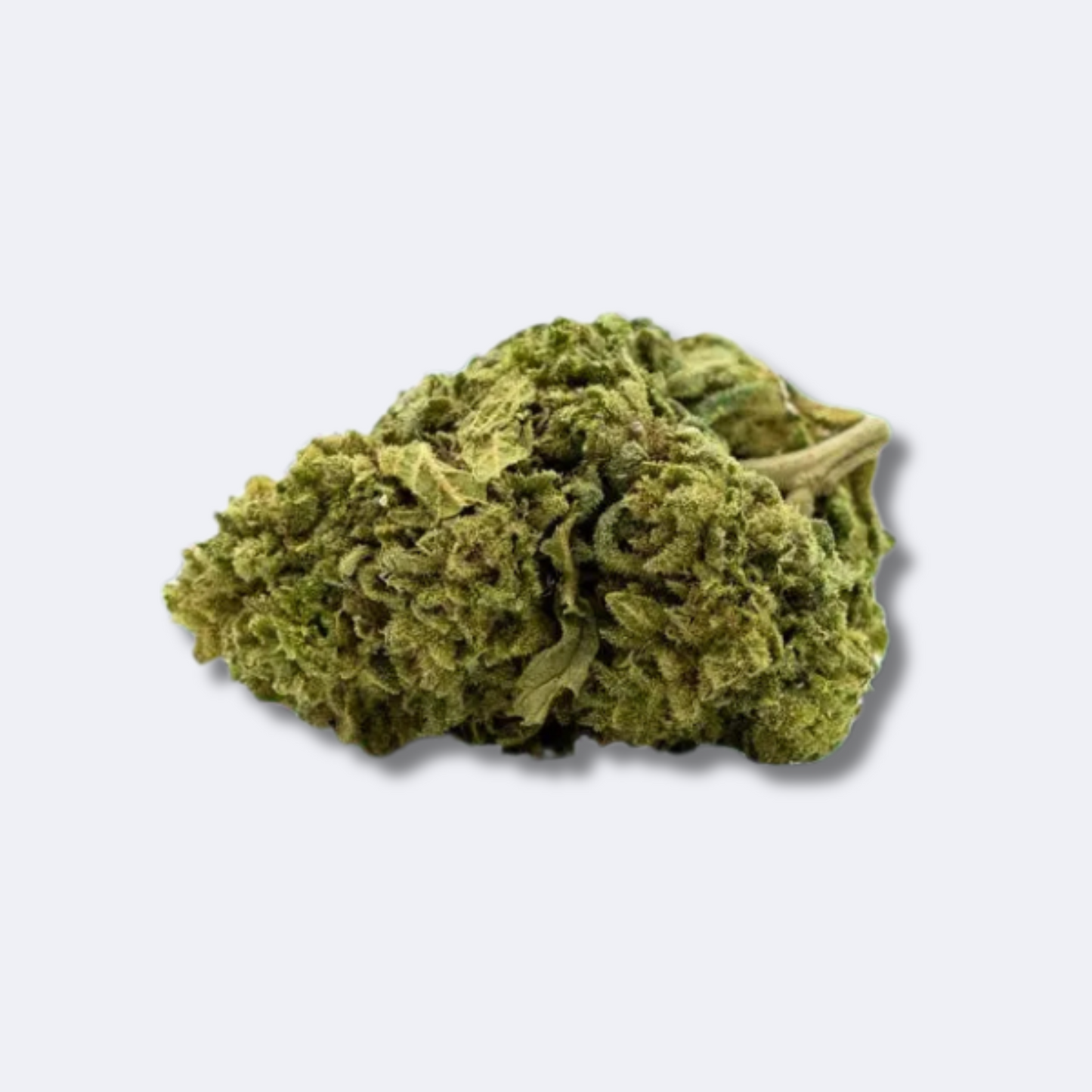 Super Lemon Haze | 15% CBD