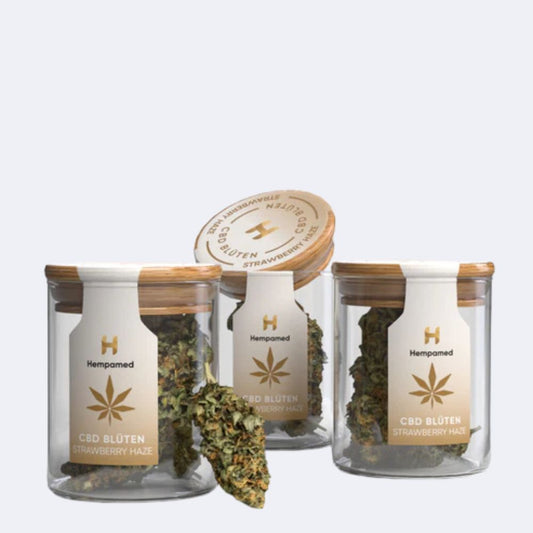 3x Strawberry Haze CBD Blüten (2 g)