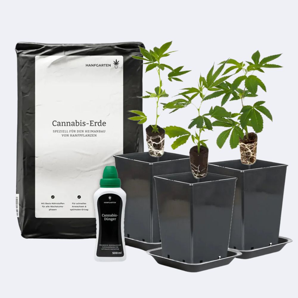 Cannabis-Anbau Starterset