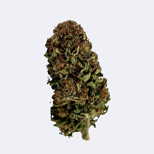 Birthday Cake | CBD Blüten