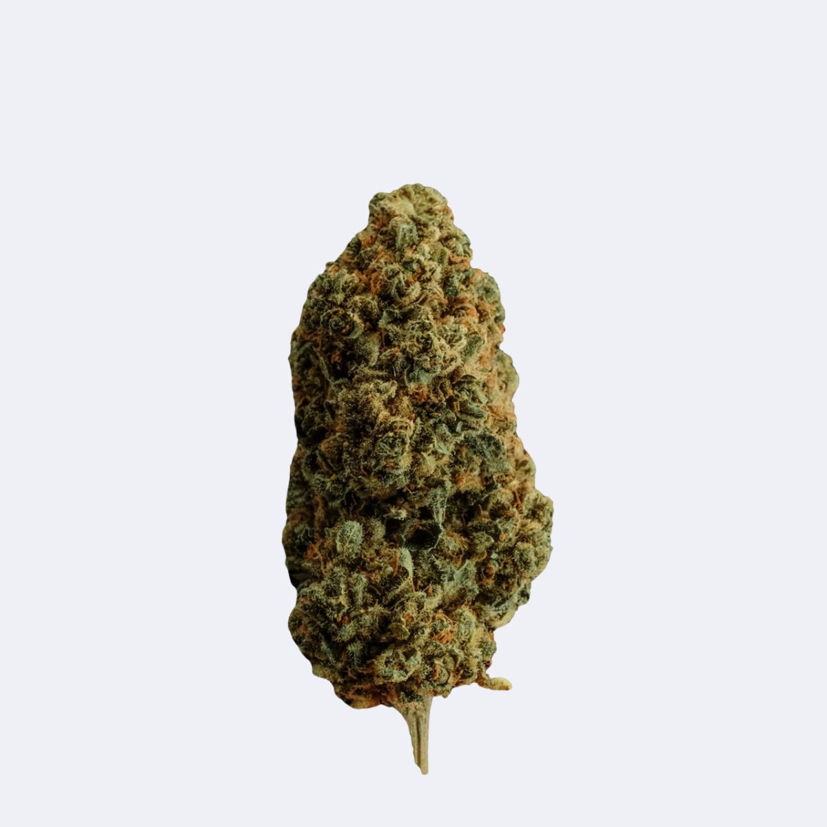 Candy Kush | H4CBD Blüten
