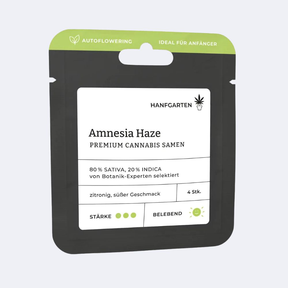 Amnesia Haze | Autoflowering