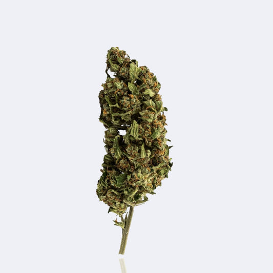 Erdbeerli | CBD Blüten | 30g