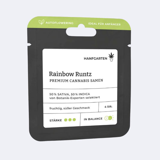 Rainbow Runtz | Autoflowering