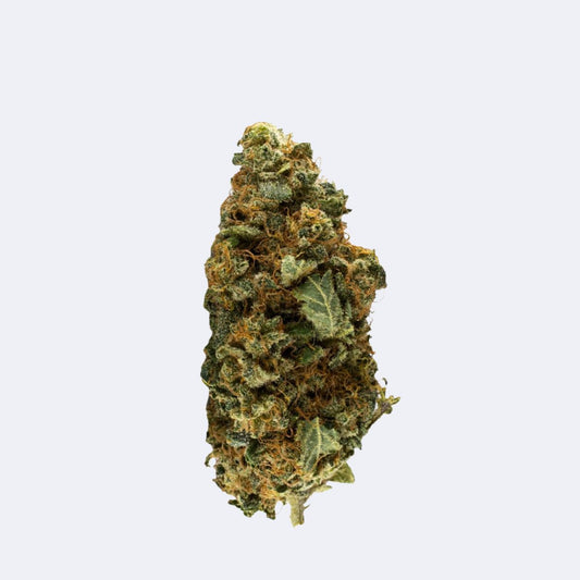 Gorilla Glue | CBD Blüten