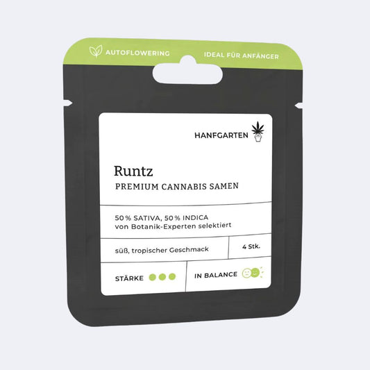 Runtz | Autoflowering
