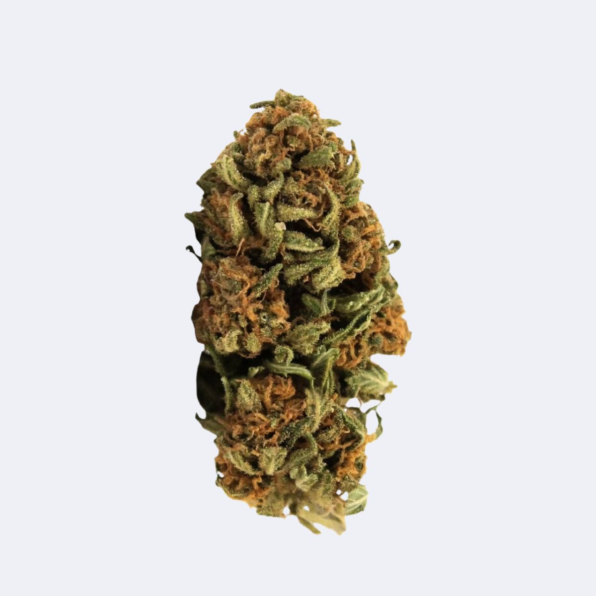 Mimosa | CBD Blüten