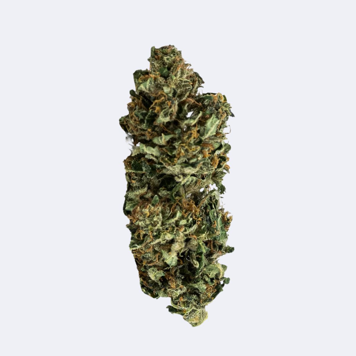 Montana | CBD Blüten | 30g