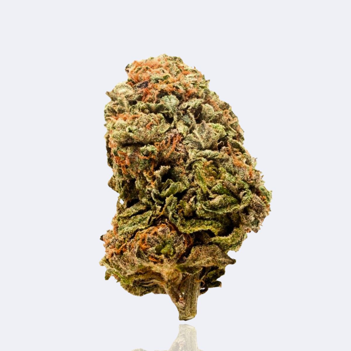 OG Kush | CBD Blüten