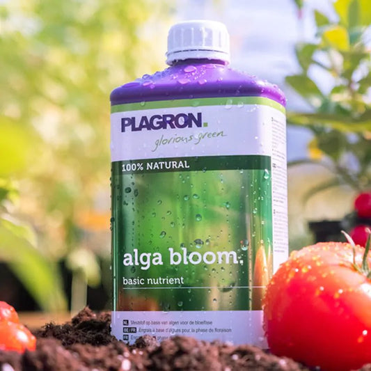 Plagron Alga Bloom