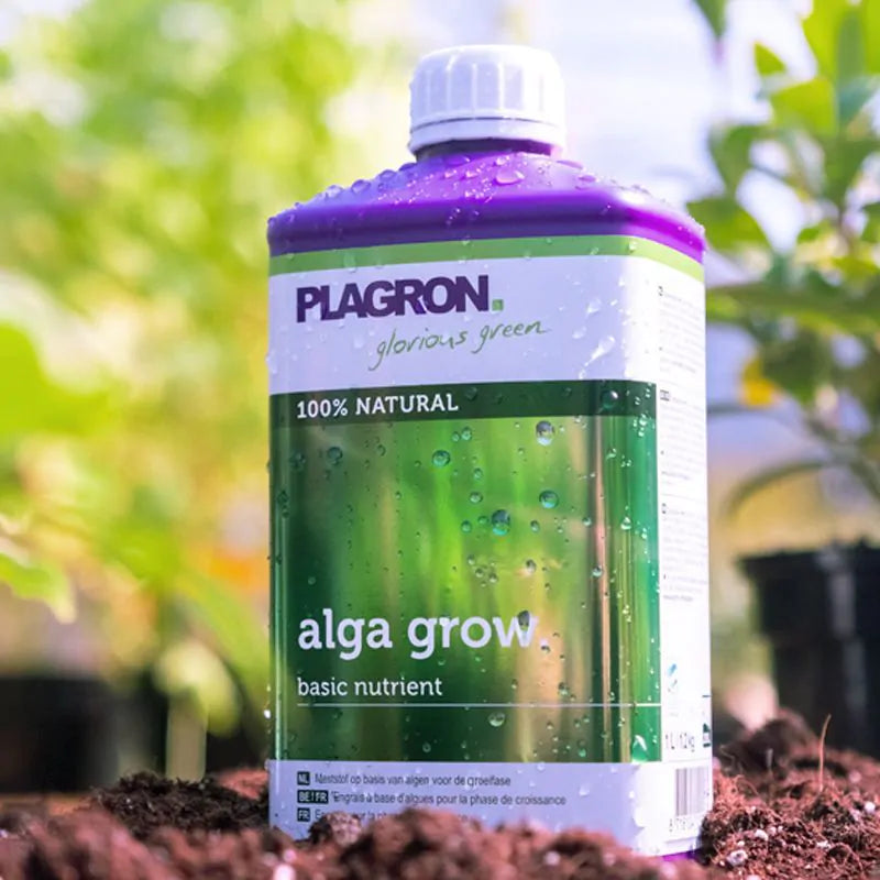 Plagron Alga Grow