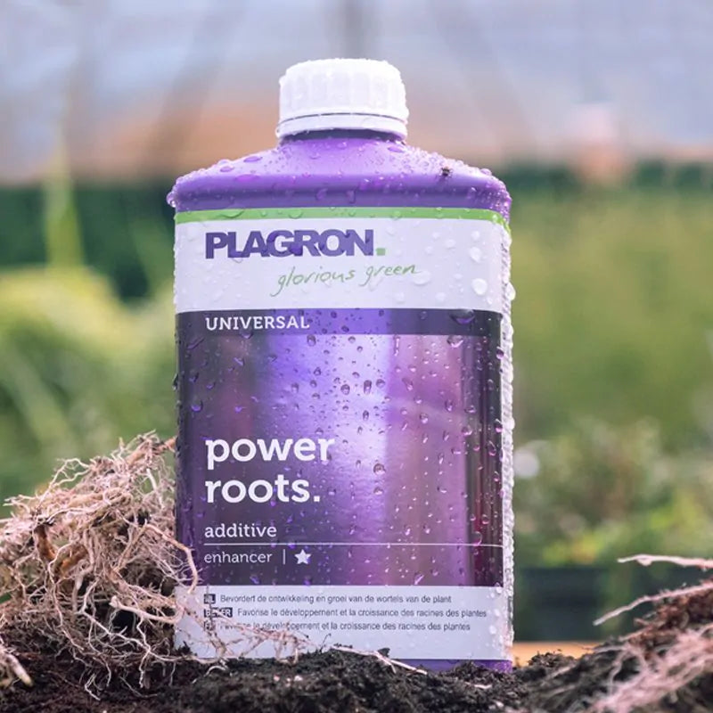 Plagron Power Roots