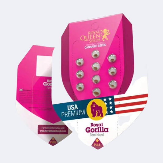 Royal Gorilla | Feminisiert