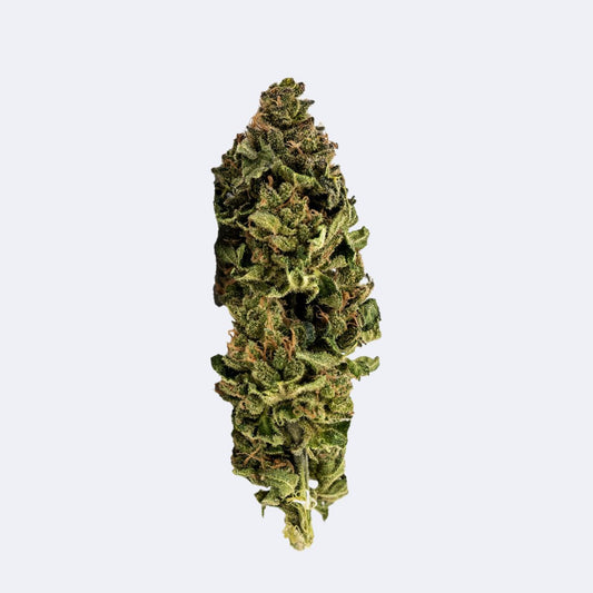 Super Skunk | CBN Blüten