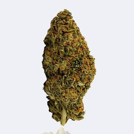 Sweet Berry | CBN Blüten