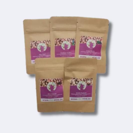 Sparkit "5x3 THC Samen autoflower"