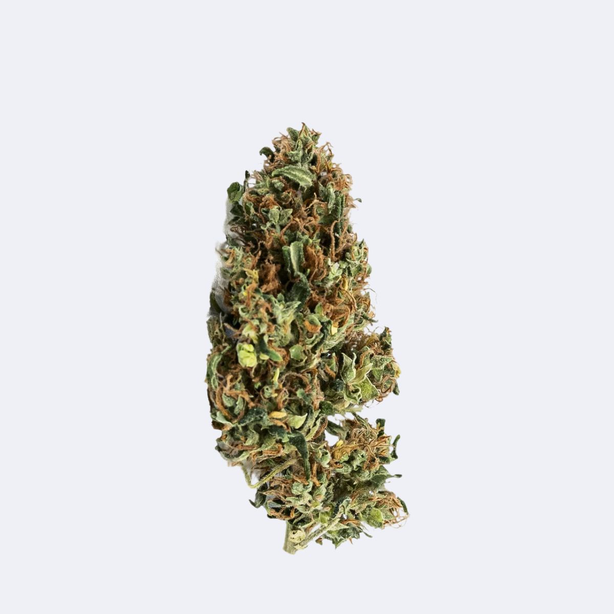 Tropical Thunder | Mini CBD Buds | 30g