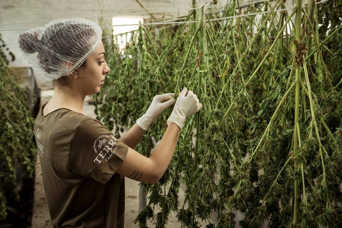 woman holds plants