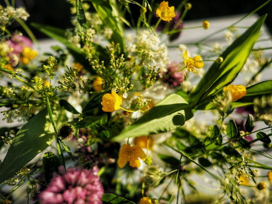 yellow and pink flowers with green leaves