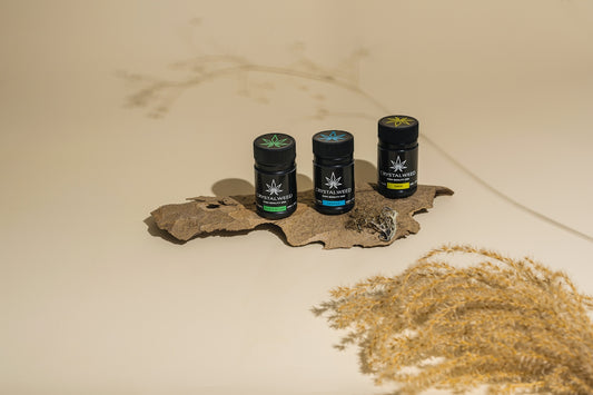 three bottles of essential oils sitting on a leaf