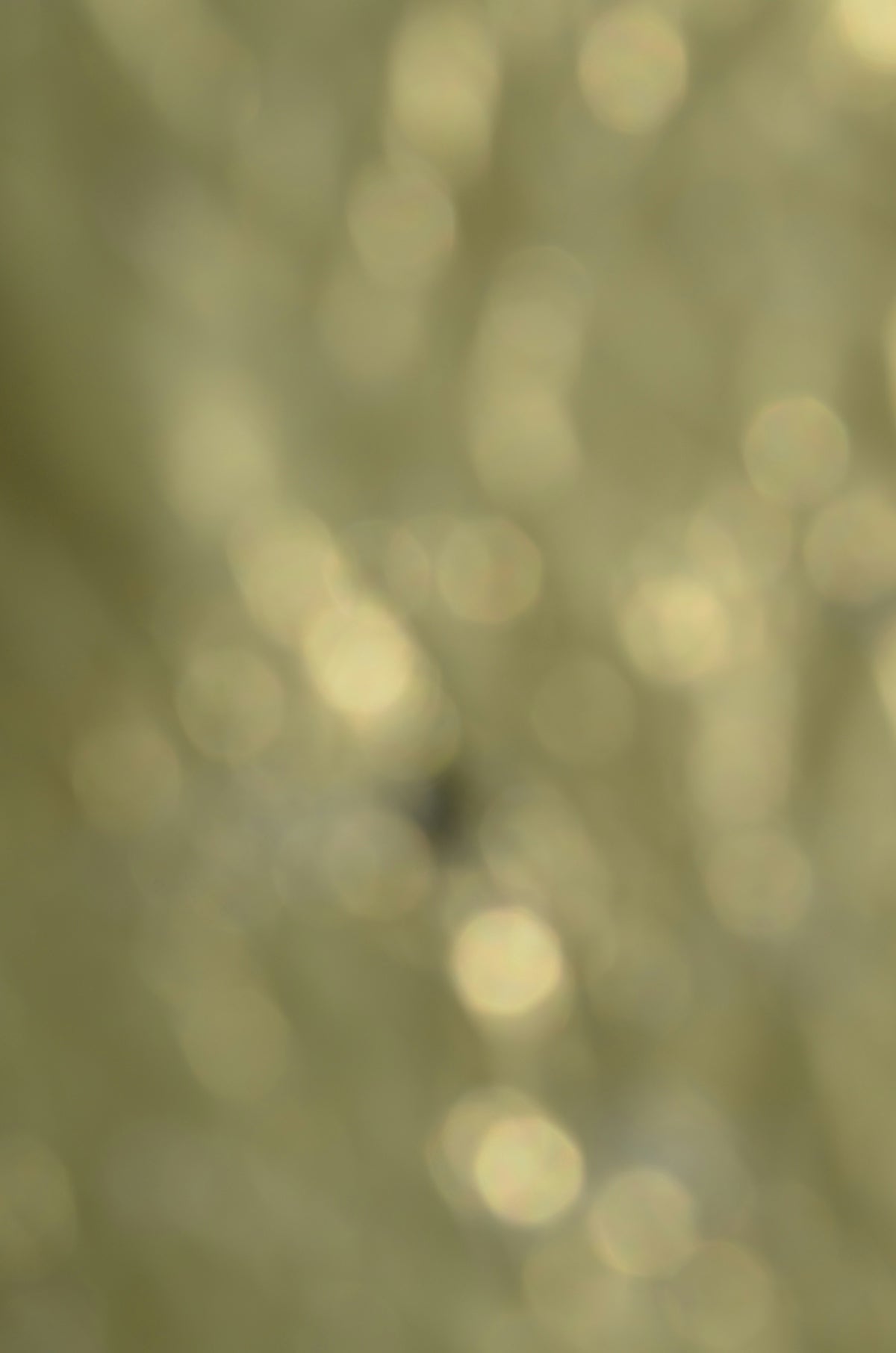 a blurry photo of a cell phone with a blurry background