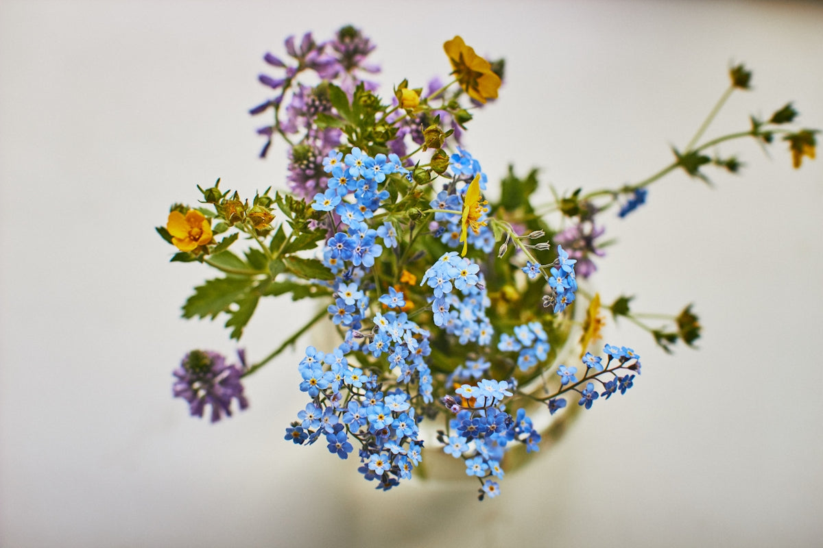 a bouquet of flowers